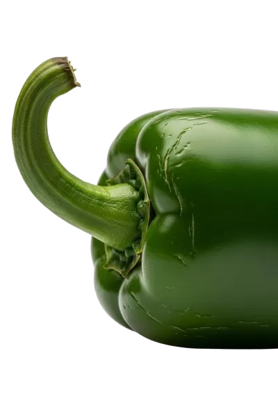 Imagen PNG para descargar